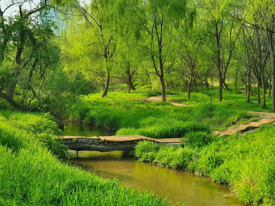 여의도샛강생태공원 이미지. <LG생건 제공>